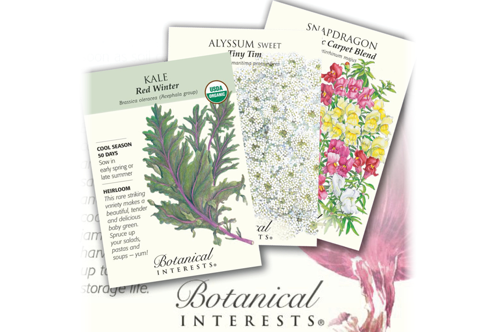 Nurturing Your Green Dreams: Botanical Interests Seed Packs for Indoor Gardening Delight
