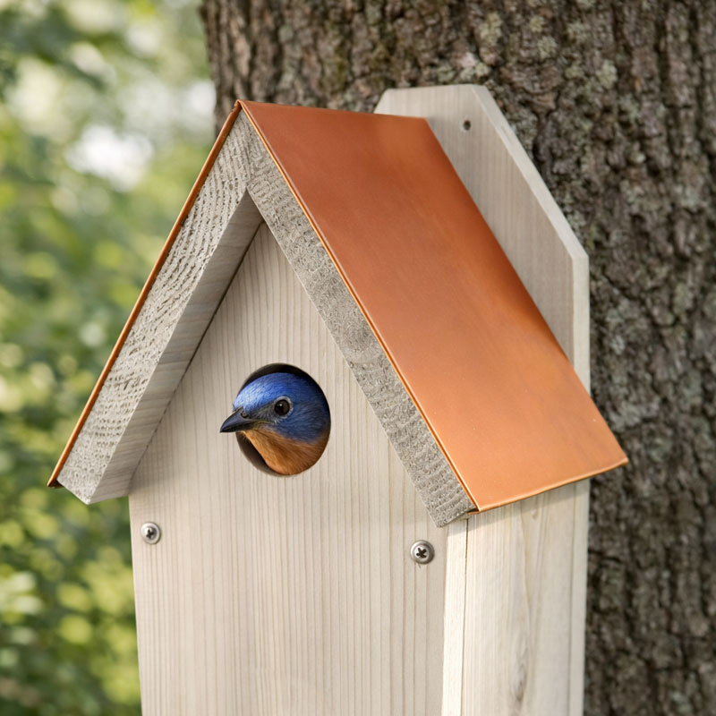 Find bird houses at Dambly's Garden Center