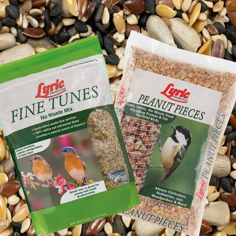 Find premium bird seed at Dambly's Garden Center