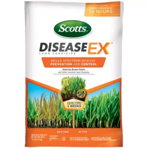 Scott's Disease Ex