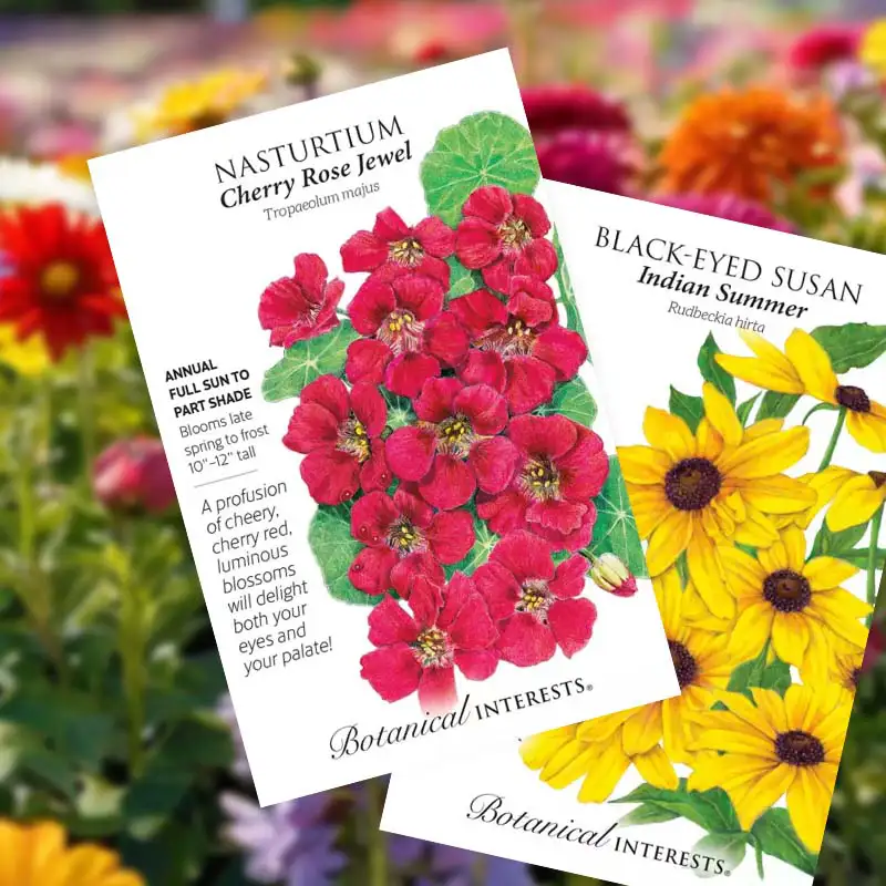 Find Premium Flower Seeds at Dambly's Garden Center