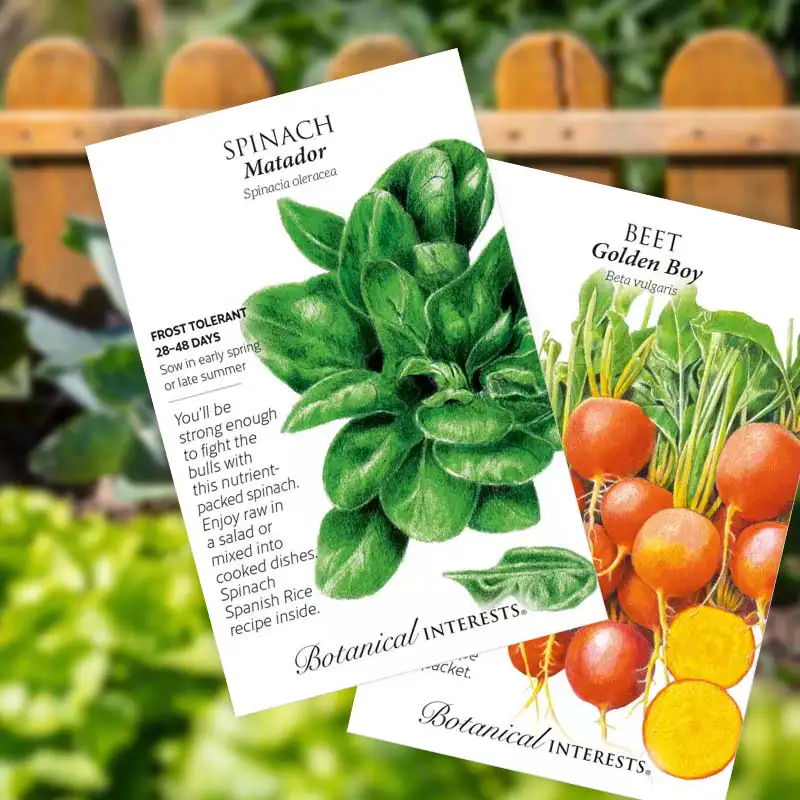 Find Premium Veggie Seeds at Dambly's Garden Center